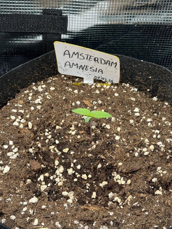 WhatsApp Image 2026-03-19 at 20.13.53.jpeg