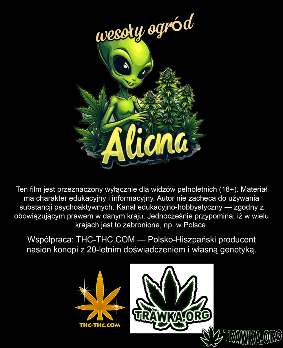 Uprawy kolobergrower 😅