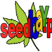 SeedBay