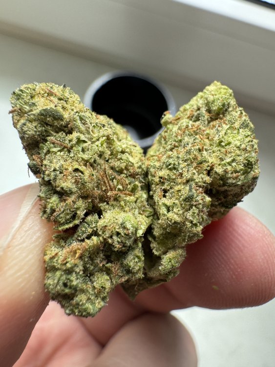 Canopy Growth Blood Orange Kush