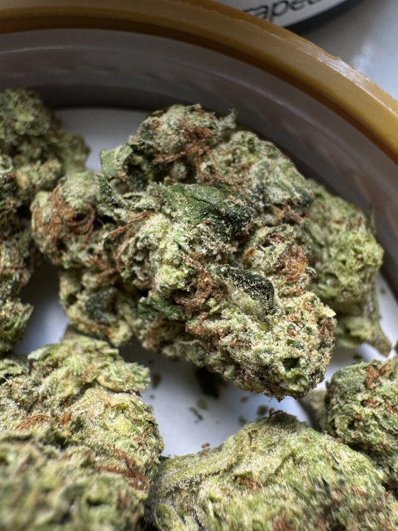 Canopy Growth Blood Orange Kush