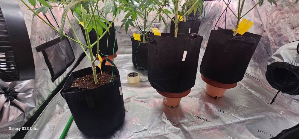 WhatsApp Image 2026-04-19 at 21.36.42 (1).jpeg