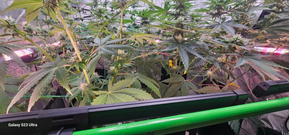 WhatsApp Image 2026-04-19 at 21.36.42 (2).jpeg