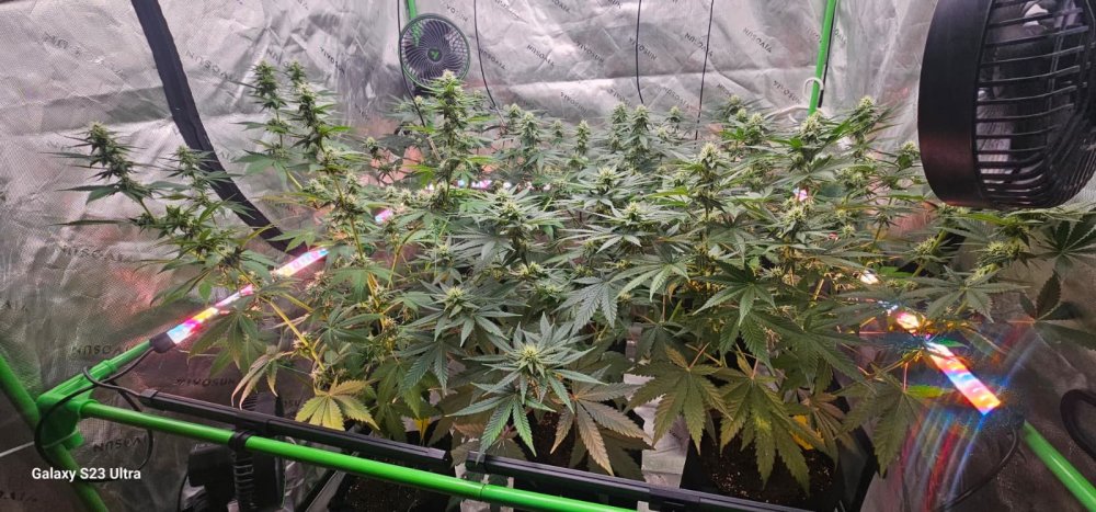 WhatsApp Image 2026-04-19 at 21.36.42 (3).jpeg