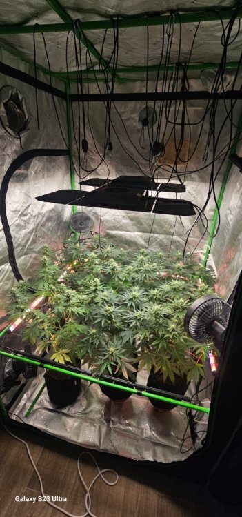 WhatsApp Image 2026-04-19 at 21.36.41.jpeg