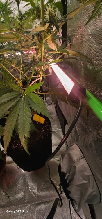 WhatsApp Image 2026-04-19 at 21.36.42.jpeg