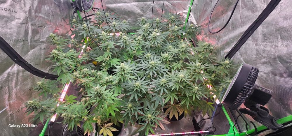 WhatsApp Image 2026-04-19 at 21.36.44.jpeg