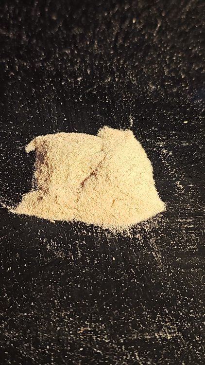 WhatsApp Image 2026-04-19 at 22.52.00 (2).jpeg