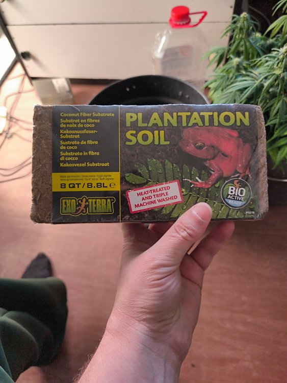 image-1779106750839.jpg