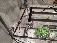 IMG_20260619_211726.jpg