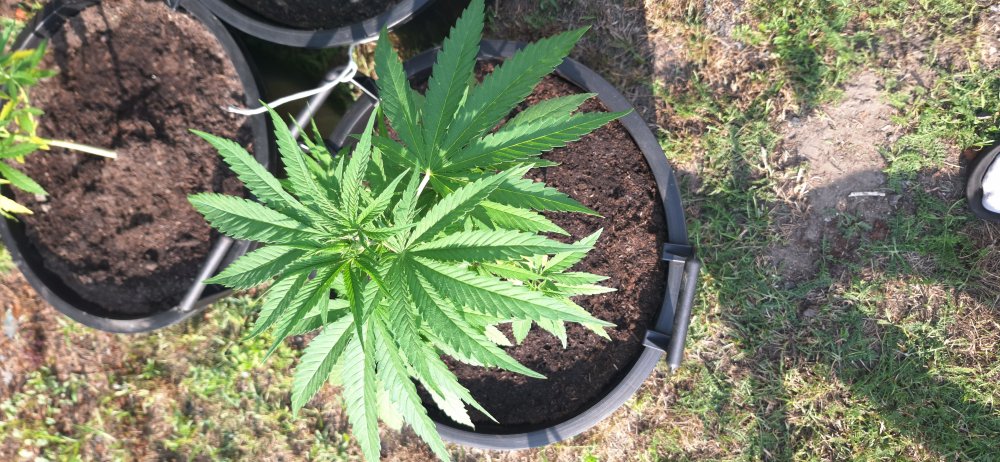 20260718_173236.jpg
