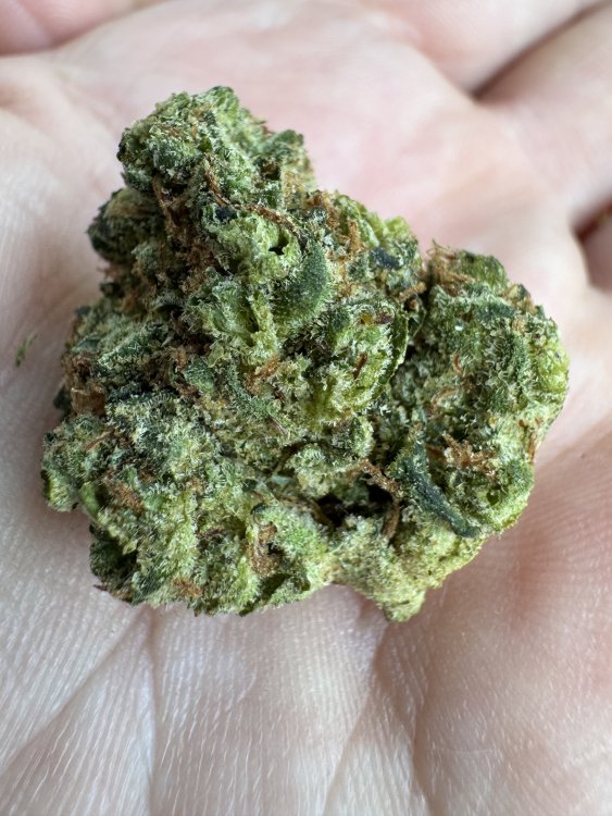 Afghan Kush