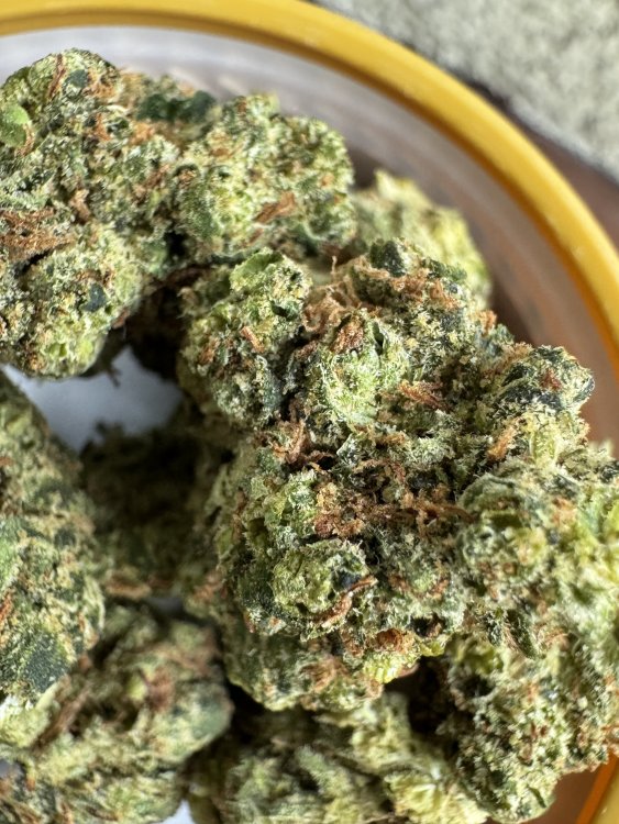 Afghan Kush Canopy Growth