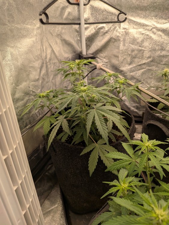 PXL_20260831_080356421.jpg
