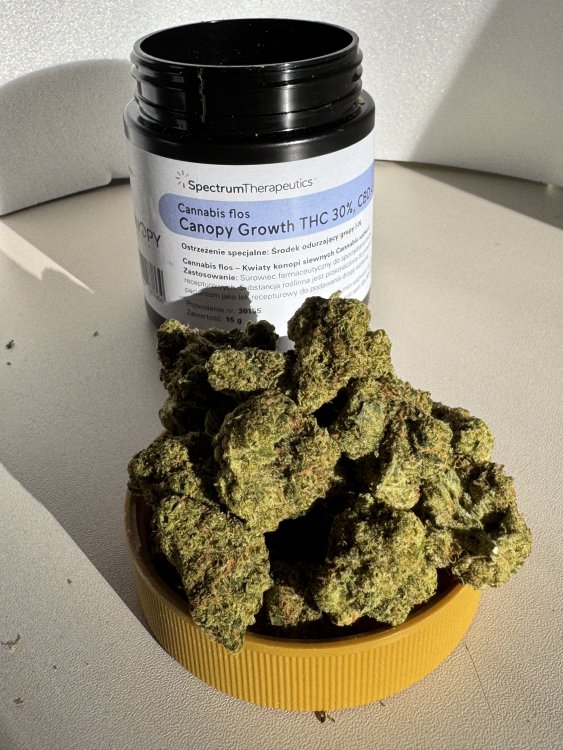 Ultra Jack Haze