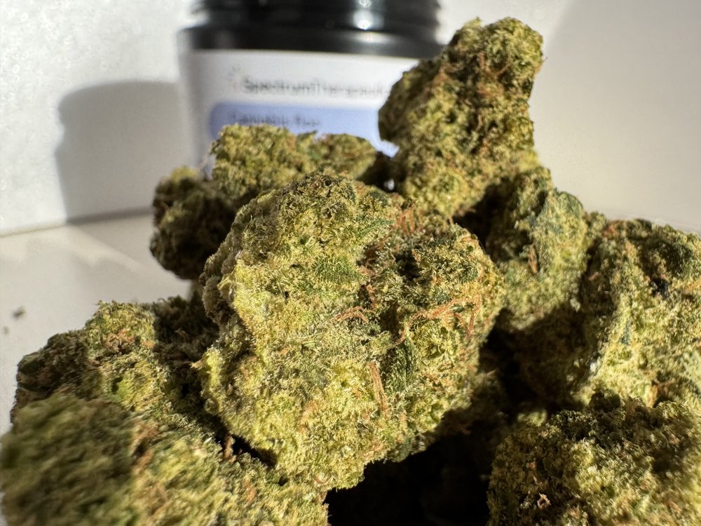 Ultra Jack Haze Canopy Growth