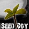 Seed_Boy